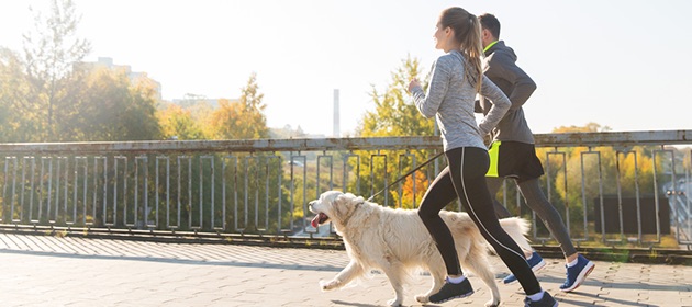 Excising With Your Dog